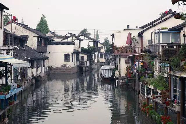 主公才是真绝色